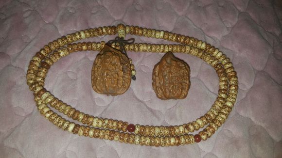 开云电竞官方网站