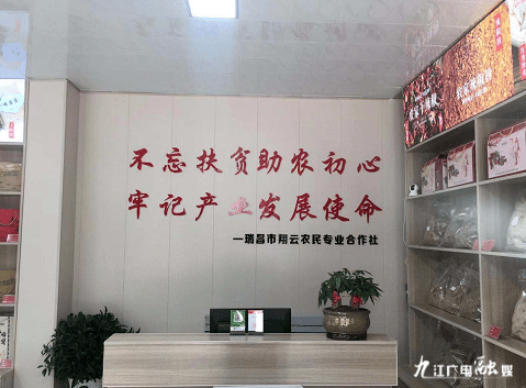 “百名记者走下层·小康生活我打卡”大型主题宣传报道运动第十四站走进瑞昌|开云电竞中国(图1)
“百名记者走下层·小康生活我打卡”大型主题宣传报道运动第十四站走进瑞昌|开云电竞中国(图1)