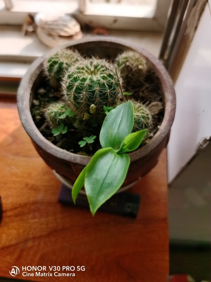 “百名记者走下层·小康生活我打卡”大型主题宣传报道运动第十四站走进瑞昌|开云电竞中国(图7) 开云电竞