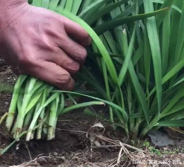 西甲-库鸟两助攻苏牙乌姆蒂蒂破门 巴萨2-1瓦伦‘开云电竞官方网站’(图1) 开云电竞中国