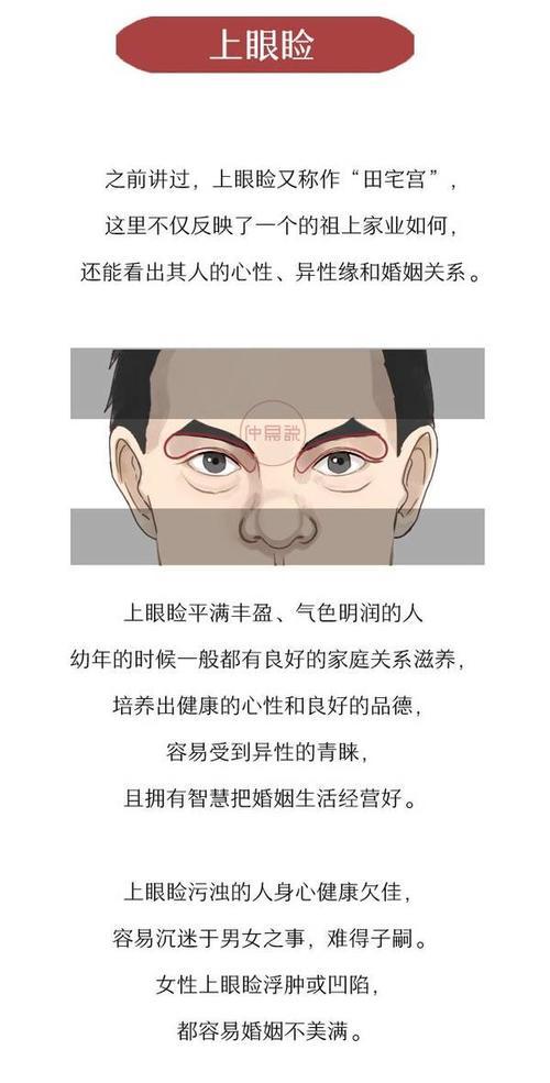 做自媒体副业 有哪些平台?|开云电竞(图1) 开云电竞中国